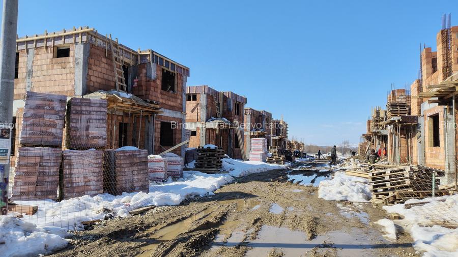 Vile individuale padurea Rosu - 12