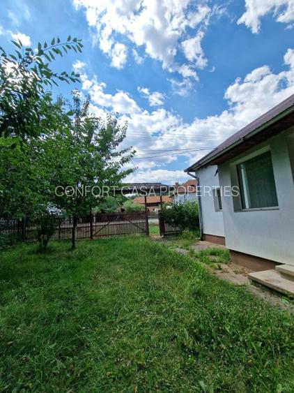 Balilesti - Stradal, casa spatioasa, 4600 mp teren intravilan - curte spatioasa - 9