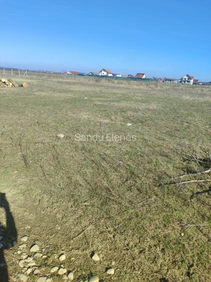 Teren Intravilan comuna Osorhei Bihor. - 6