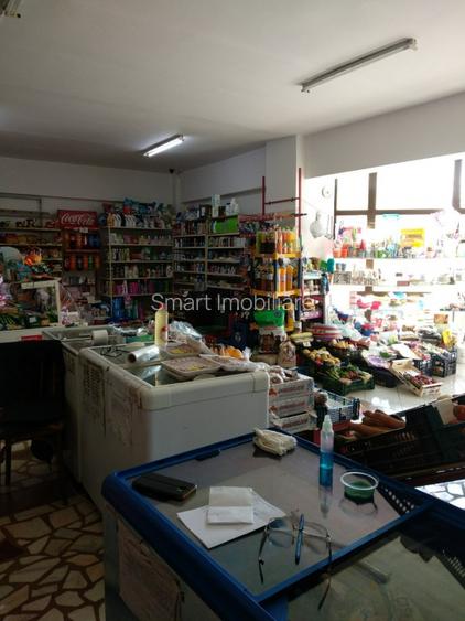 Spatiu Comercial 100 mp Triaj - 10