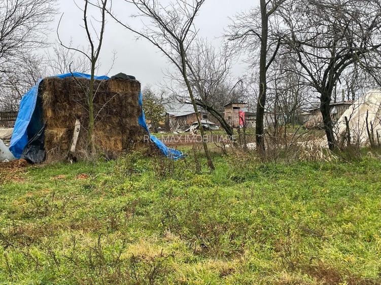 Teren intravilan 3367 mp cu casa demolabile 54 mp puț existent! - 8