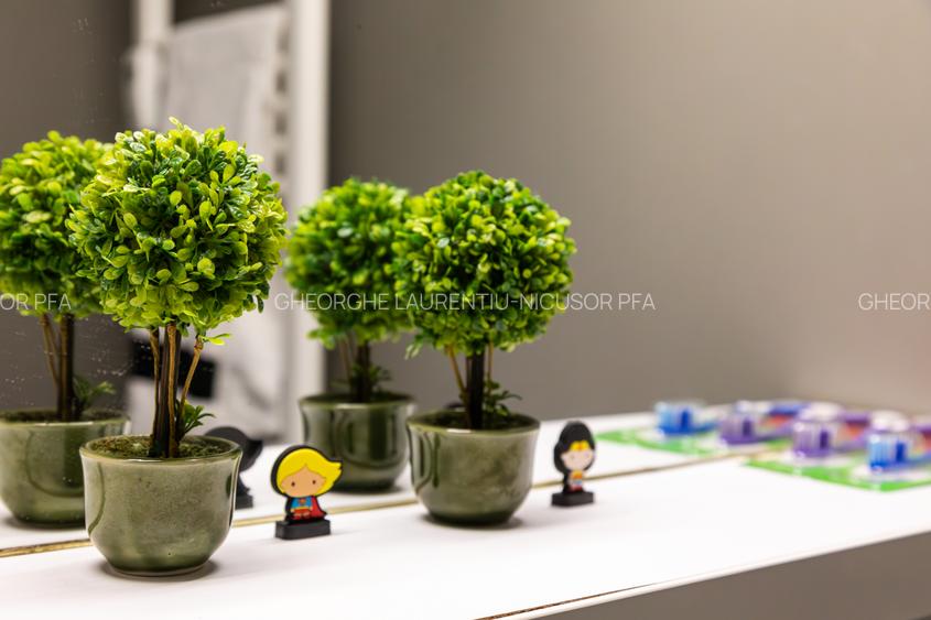 Sala Palatului 2camere, Ion Campineanu23 - 15