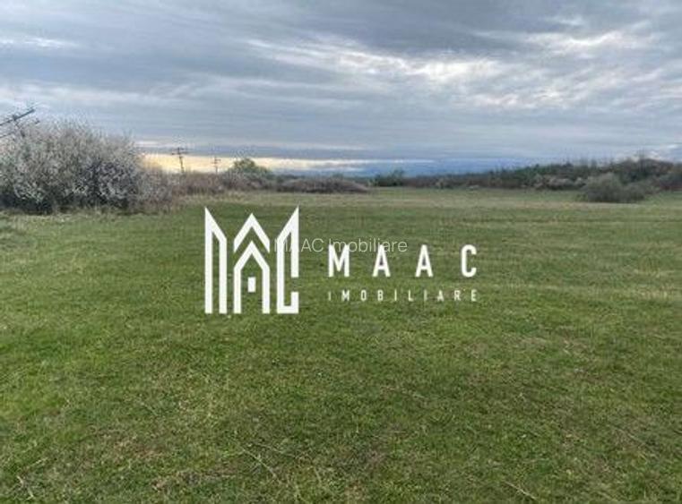 Teren extravilan | Cristian | 11.500 mp - 2