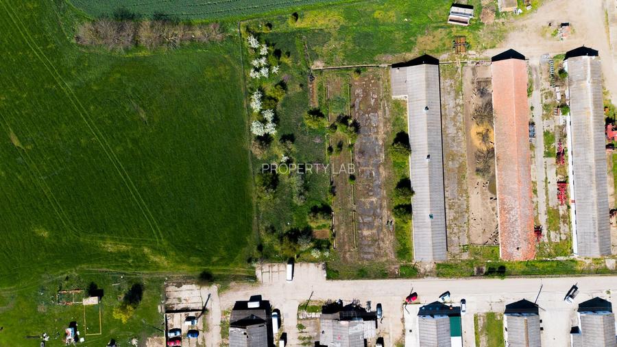 Spațiu depozitare 734mp și teren de 7.844mp Macea - 4