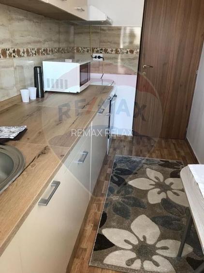 De inchiriat apartament cu 1 camera - Podu Ros - 5