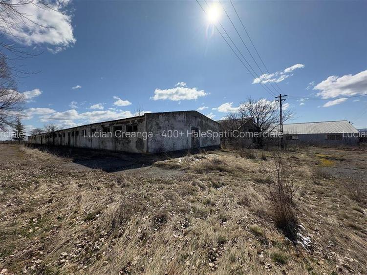 Complex hale depozitare - productie Iasi, Ciohorani, 8164mp - 17