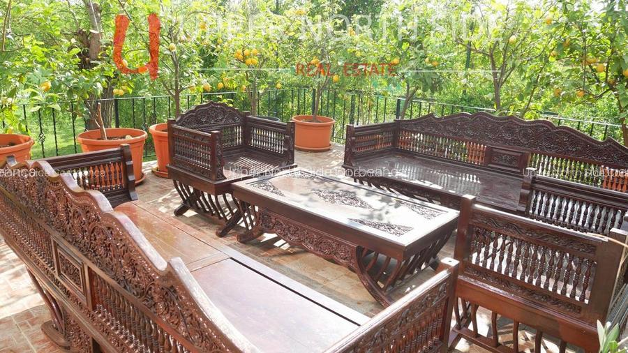 Mansion Luxuriant | Piscina Interioara | Teren tenis | 2500 mp gradina superba - 15