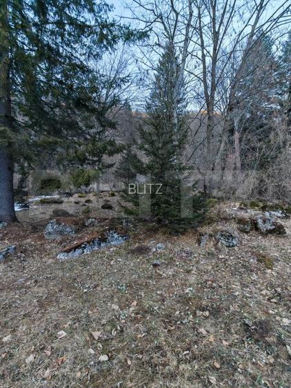 Casa de vacanta de vanzare in Rasnov - Brasov - 15