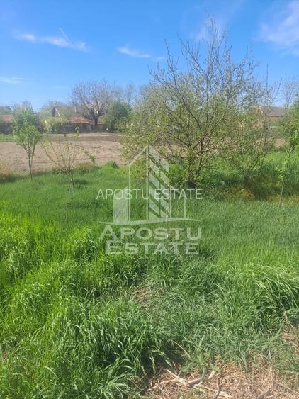 Casa individuala in Cruceni ,la granita cu Serbia - 17