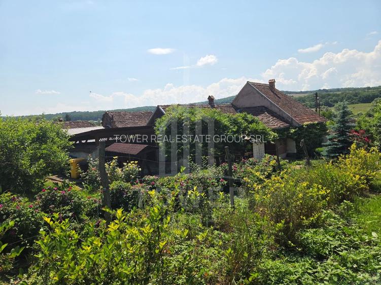 Casă săsească autentică în Bruiu (Sibiu) - 21