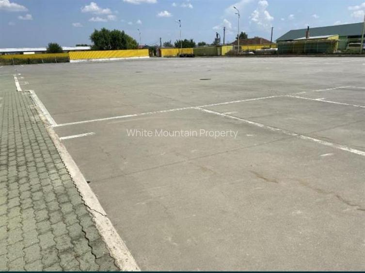 Pecica, 12000 mp platforma, inchiriere lunga durata, - 8