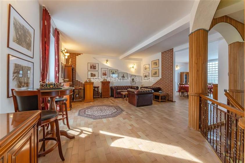 FILM! Castelariu: spectacol panoramic, locatie prestigioasa, exclusivist confort - 22