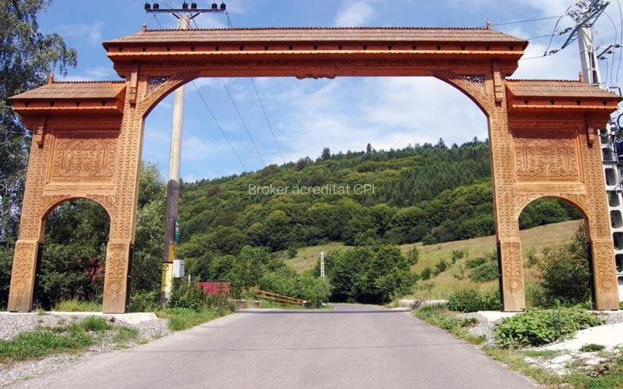 Teren intravilan si padure de brad 34.000 mp Varsag, Harghita - 8