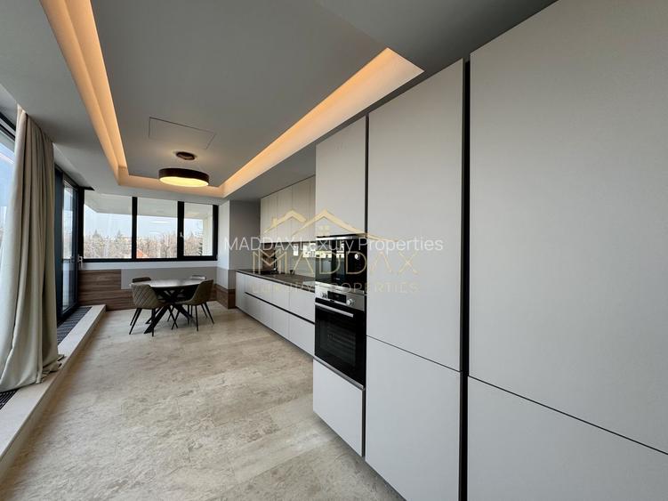 Resedinta de lux / * Kiseleff* - 12