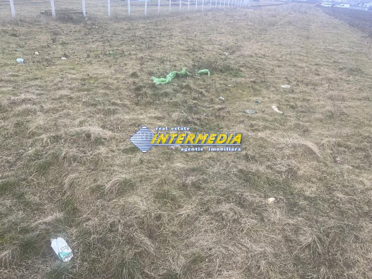 Okazie! 1400 mp. Teren intravilan Alba Iulia Zona Ampoi 3 utilizare Gradina - 3