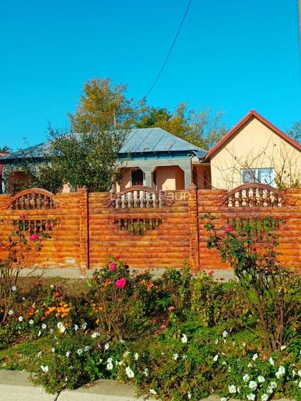 Casã de Vânzare - Bordei -Verde  - 3
