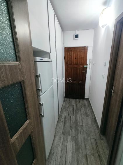 Garsoniera  LAPUS-ARGES/etaj 3/renovata /mobilata - 5