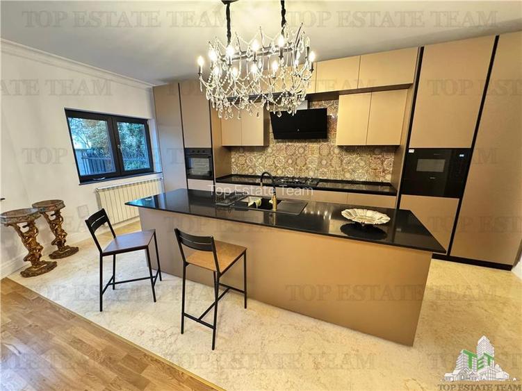 Vila pretabila rezidenta/office la Bulevard  Iancu Nicolae - 4