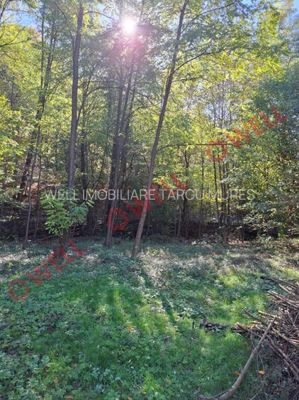 De vânzare un teren intravilan de 2.149 m² în Sovata, pe strada Vânătorilor - 6