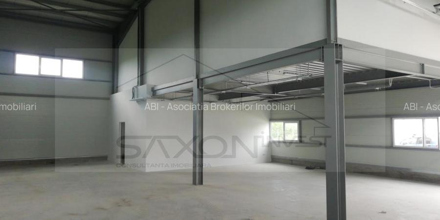 Hala depozitare sau productie   Drumul intre Tarlale,  600MP - 10