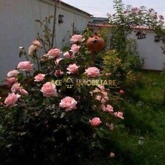 Casa 6 Camere de vanzare | Ilfov | Rosu | Gradina | Curte proprie - 10