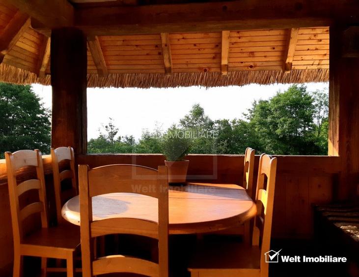 Casa rustica, exclusivista, 5 camere, 170 mp utili, 550 mp teren, Salicea - 12