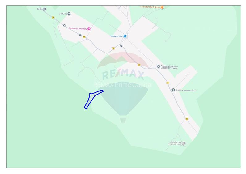 Teren intravilan, 9465 mp, Betfia, lângă pădure, de vânzare - 2