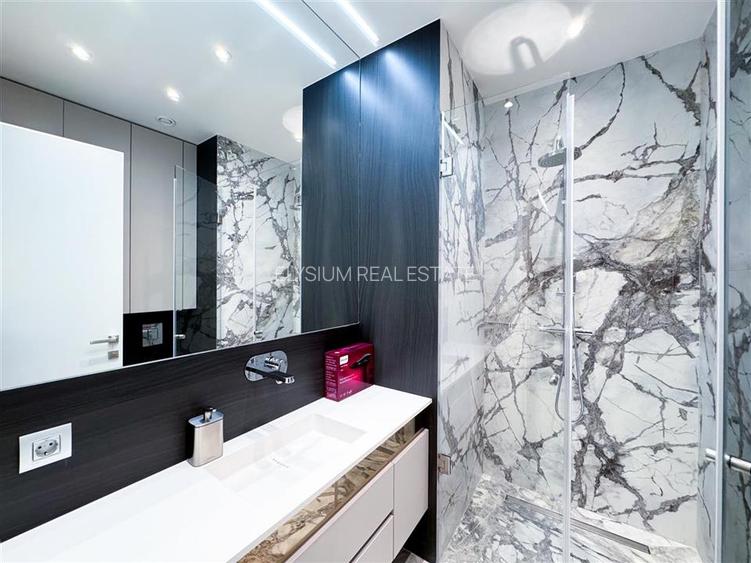 Apartament de inchiriat 4 camere Kiseleff - 15