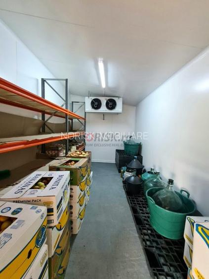 Vila + Afacere 15.000mp Clinceni - 9