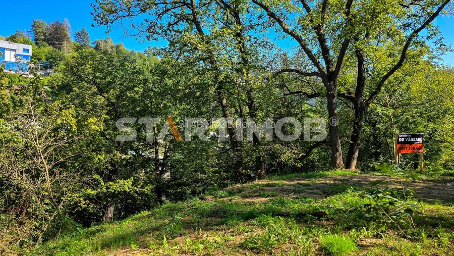 Teren intravilan zona Schei Brasov - 22