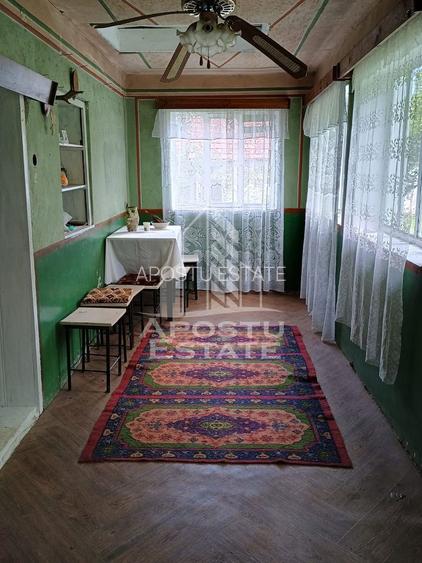 Casa batraneasca de vanzare, 4 camere, in Hunedoara, sat Micanesti - 16