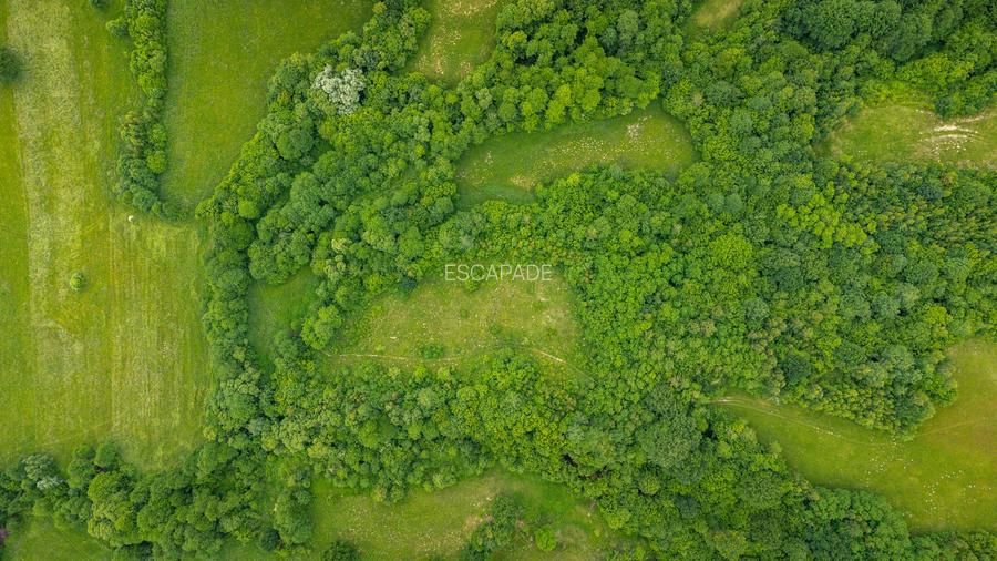 Teren ideal recreere/conectare cu natura/zona Fagaras/achitare in rate - 14