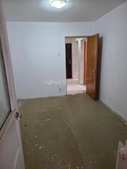 Lacul Tei  Teiul Doamnei  Colentina - 20