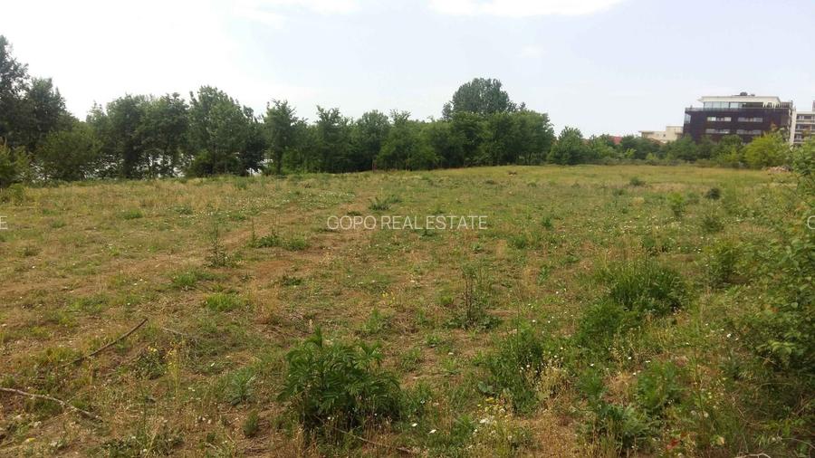 Teren 6000 mp pozitie deosebita lacul Baneasa adancime 140 m - 18