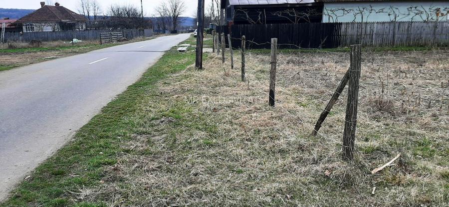 TEREN INTRAVILAN SI EXTRAVILAN POLOVRAGI - BENGEASCA - 2