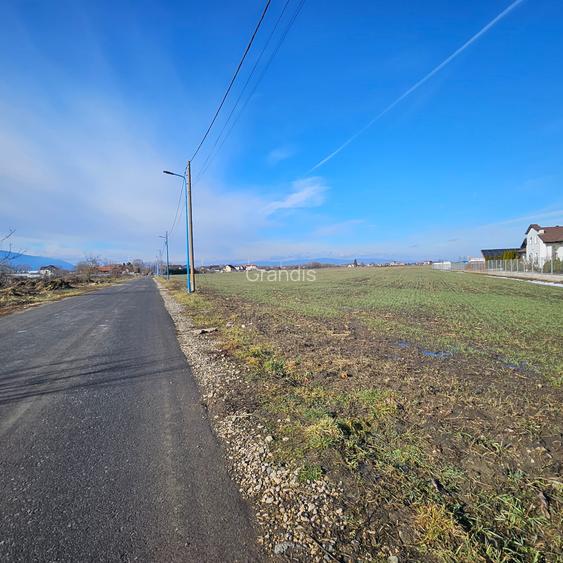 Teren intravilan - Str. Morarului, ideal pentru ansamblu rezidential - 3