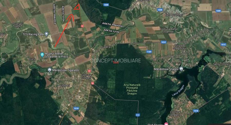 Snagov, CIolpani, Deschidere 61m DN1, Teren Intravilan 4906mp - 9