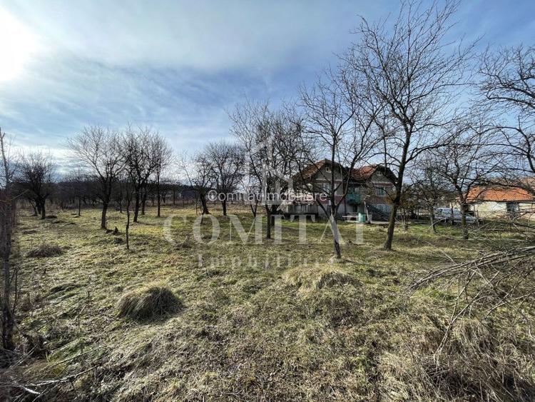Teren autorizabil la preț foarte bun Chinteni - 2