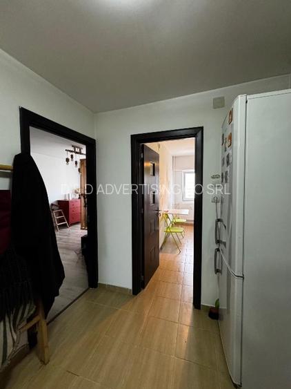 TEI / GHICA TEI - Garsoniera DECOMANDATA - PET FRIENDLY - 11