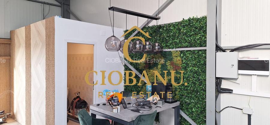 Hala de vanzare in Racarii de Jos - 8