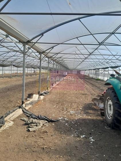 VANZARE TEREN 3100 MP - SAT ROSIORI (IL) - 12