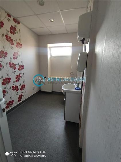Royal Imobiliare-Inchiriere Spatiu de Birouri Zona Cantacuzino - 28