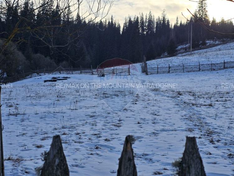 Teren 2,833mp Vatra Dornei / None - 2