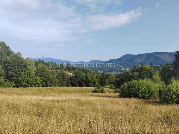 teren Colibita - 2 hectare - acces direct din drumul 173 D - 4