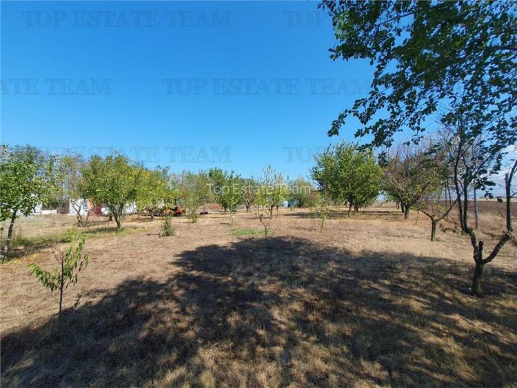 Teren intravilan agricol si teren curti constructii Lot 2 Parcela A326/49 - 18