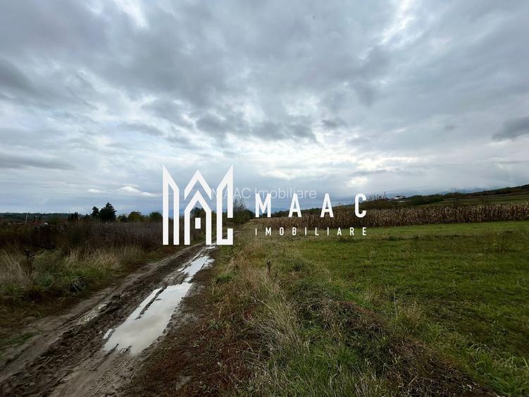 Teren | 3700 mp | Deschidere la DN | Intrare Vestem – Sibiu - 3