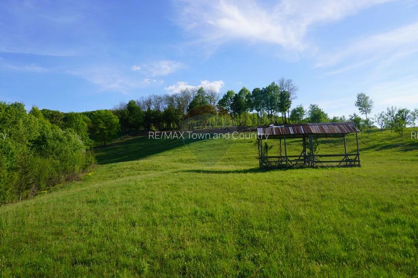 Teren 15,000mp Sighetu Marmatiei / Strada Mocăniței - 12