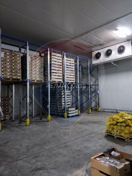Depozit frigorific  hala ideal legume, fructe, flori - 10