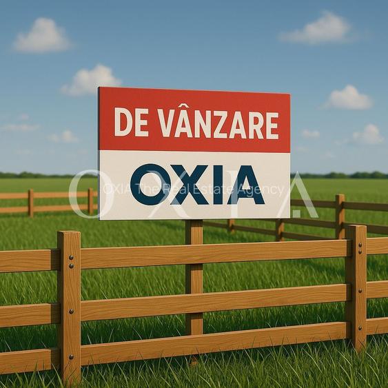 OX647 Terenuri pentru servicii si spatiu verde – Mosnita Noua, zona Valery - 2