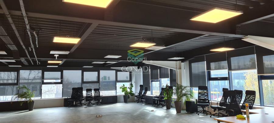 Ready to move in I HALA depozitare si birouri I MOGOSOAIA - 3